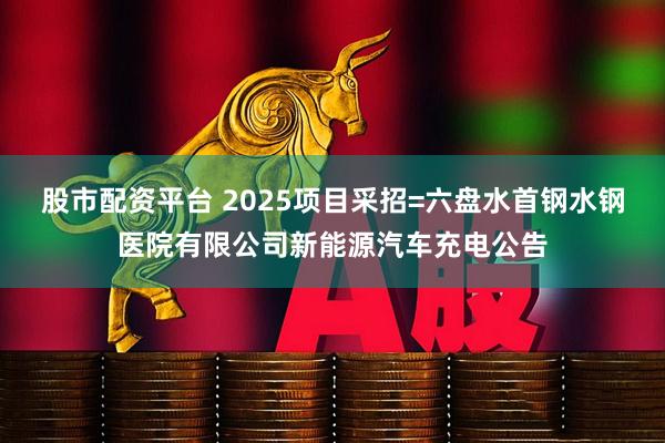 股市配资平台 2025项目采招=六盘水首钢水钢医院有限公司新能源汽车充电公告