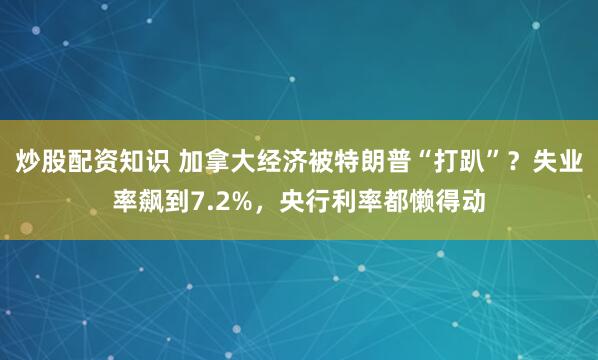 炒股配资知识 加拿大经济被特朗普“打趴”？失业率飙到7.2%，央行利率都懒得动